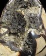 Septarian Dragon Egg Geode - Black Crystals #37297-1